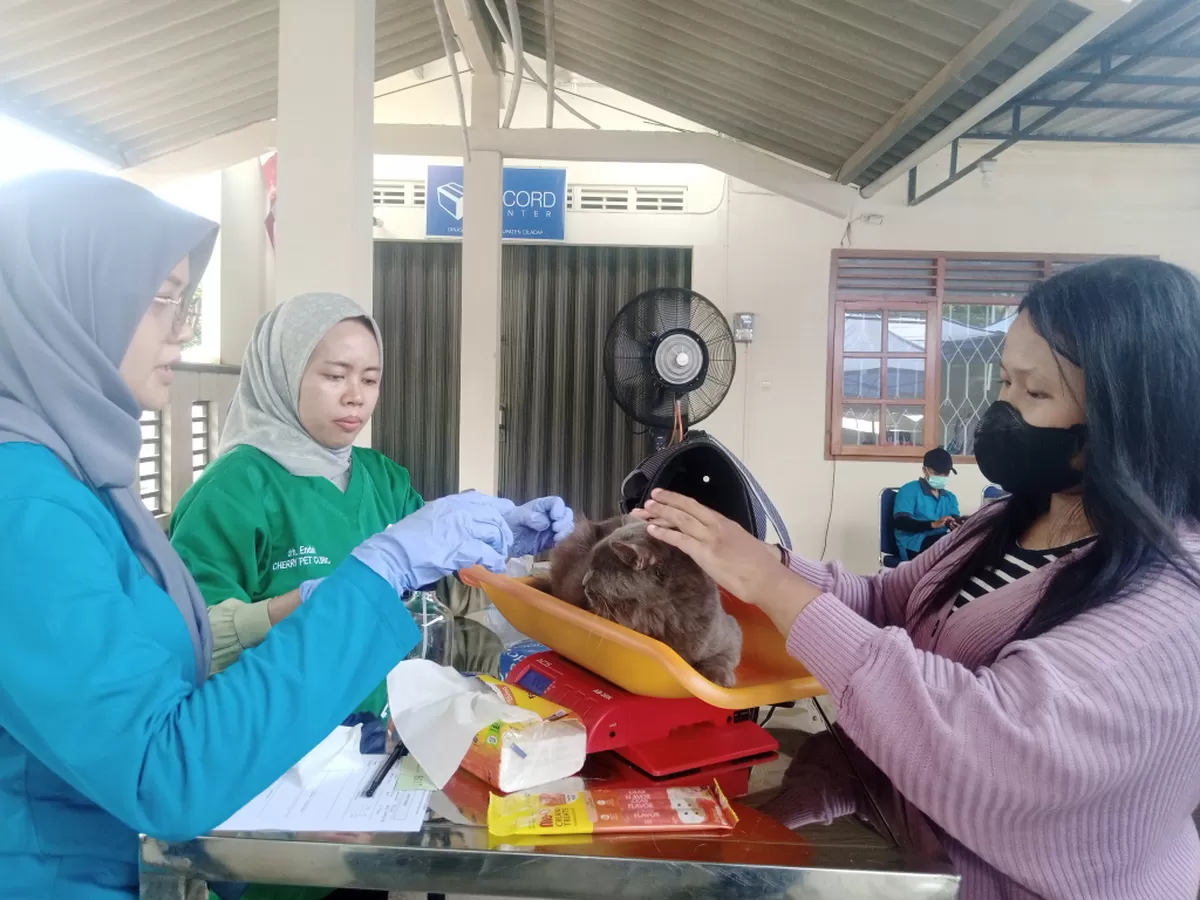 Mengapa Warga Cilacap Antre Berjam-jam untuk Cek Kesehatan Gratis di Jalan A. Yani?